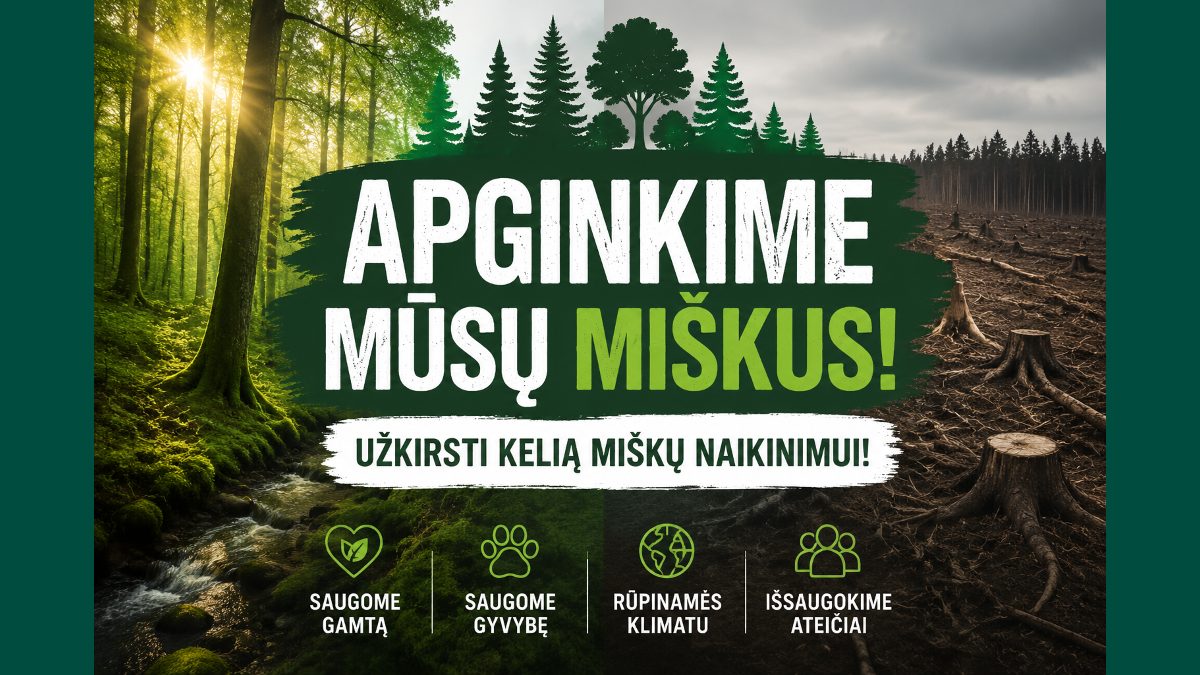 Apginkime mūsų miškus! Užkirsti kelią miškų naikinimui !